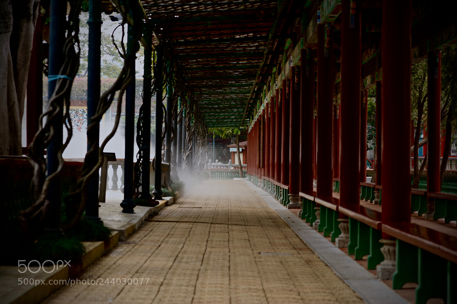 Canon EOS 5DS R sample photo. Baomo garden path with photography