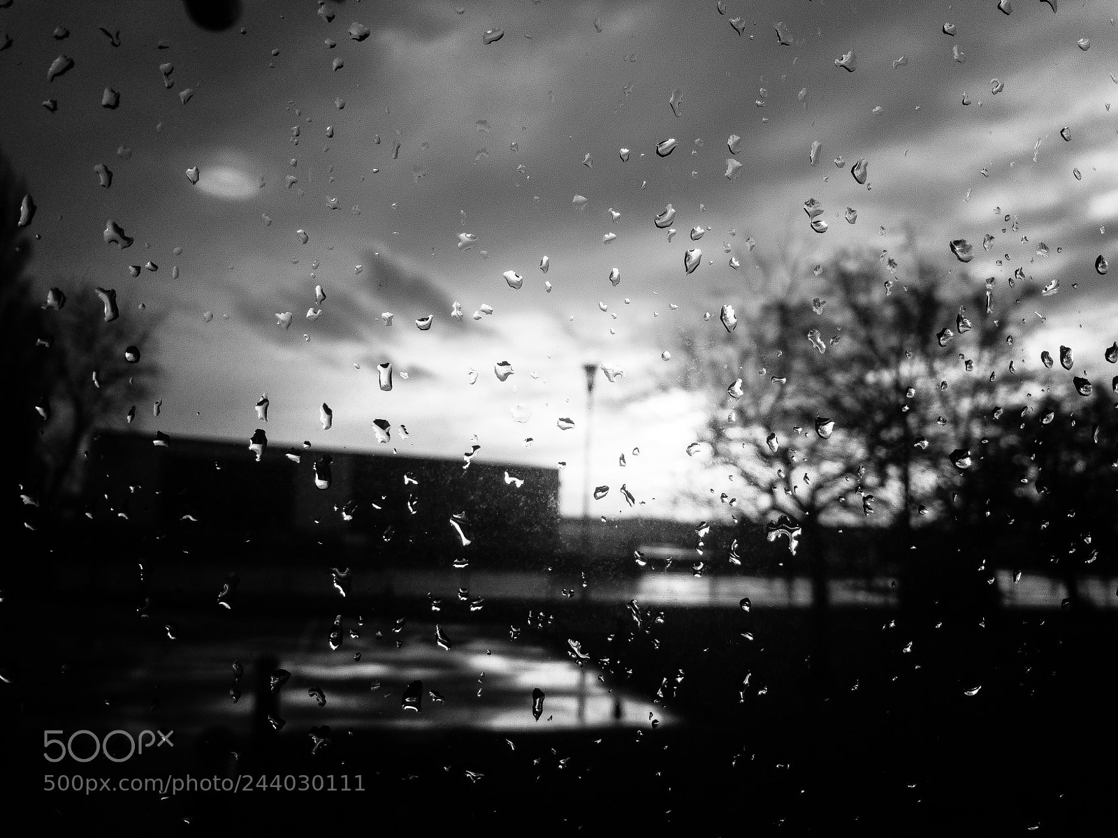Apple iPhone 7 sample photo. Rainy day photography