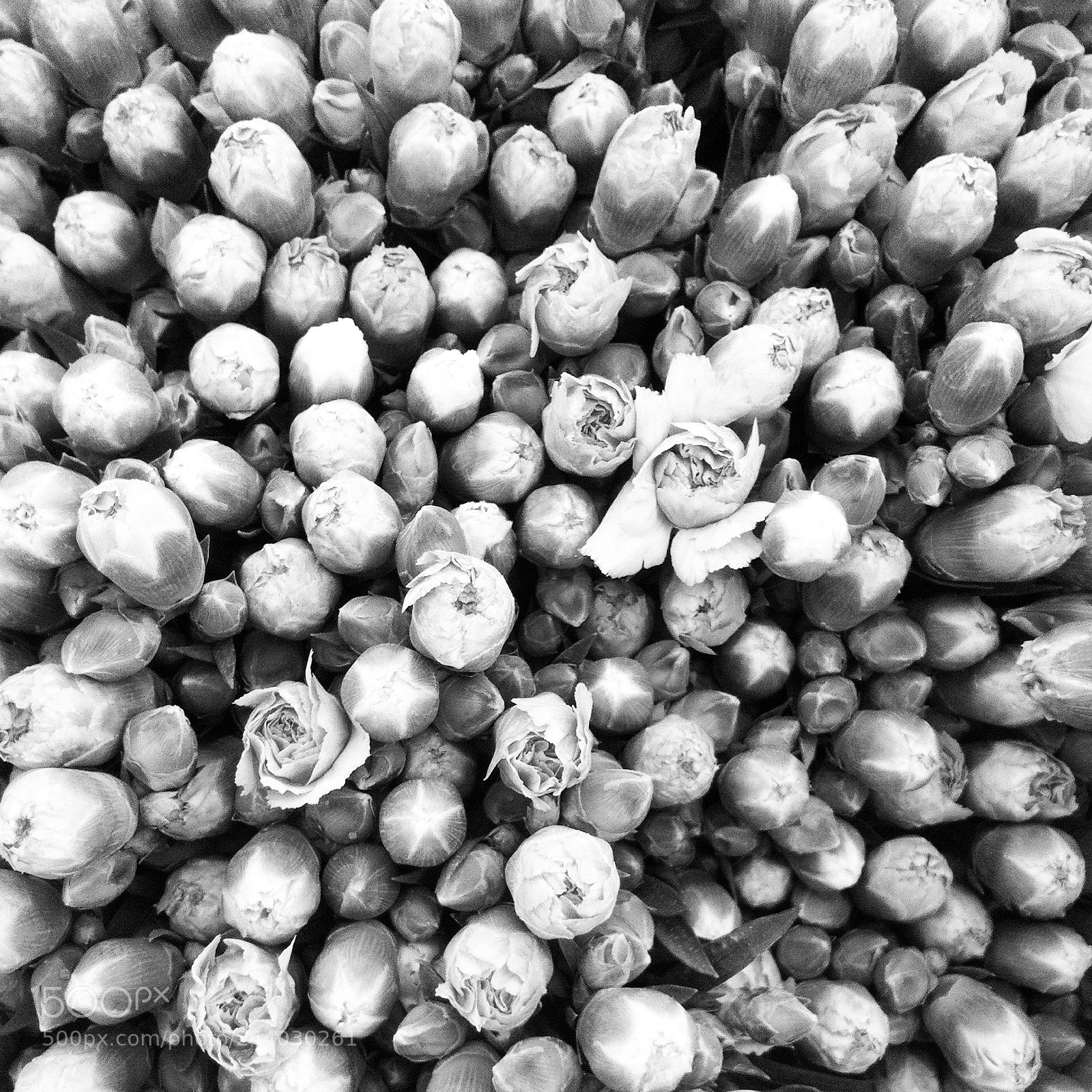 Apple iPhone 4 sample photo. Rss photography
