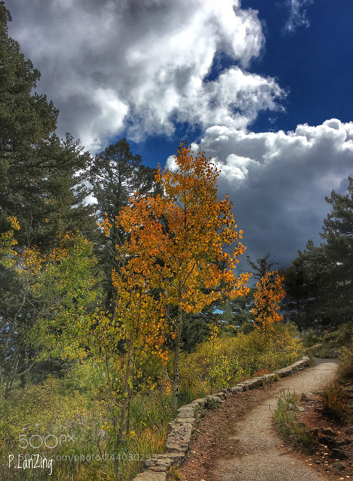 Apple iPhone 6s sample photo. Autumn trail, new mexico photography