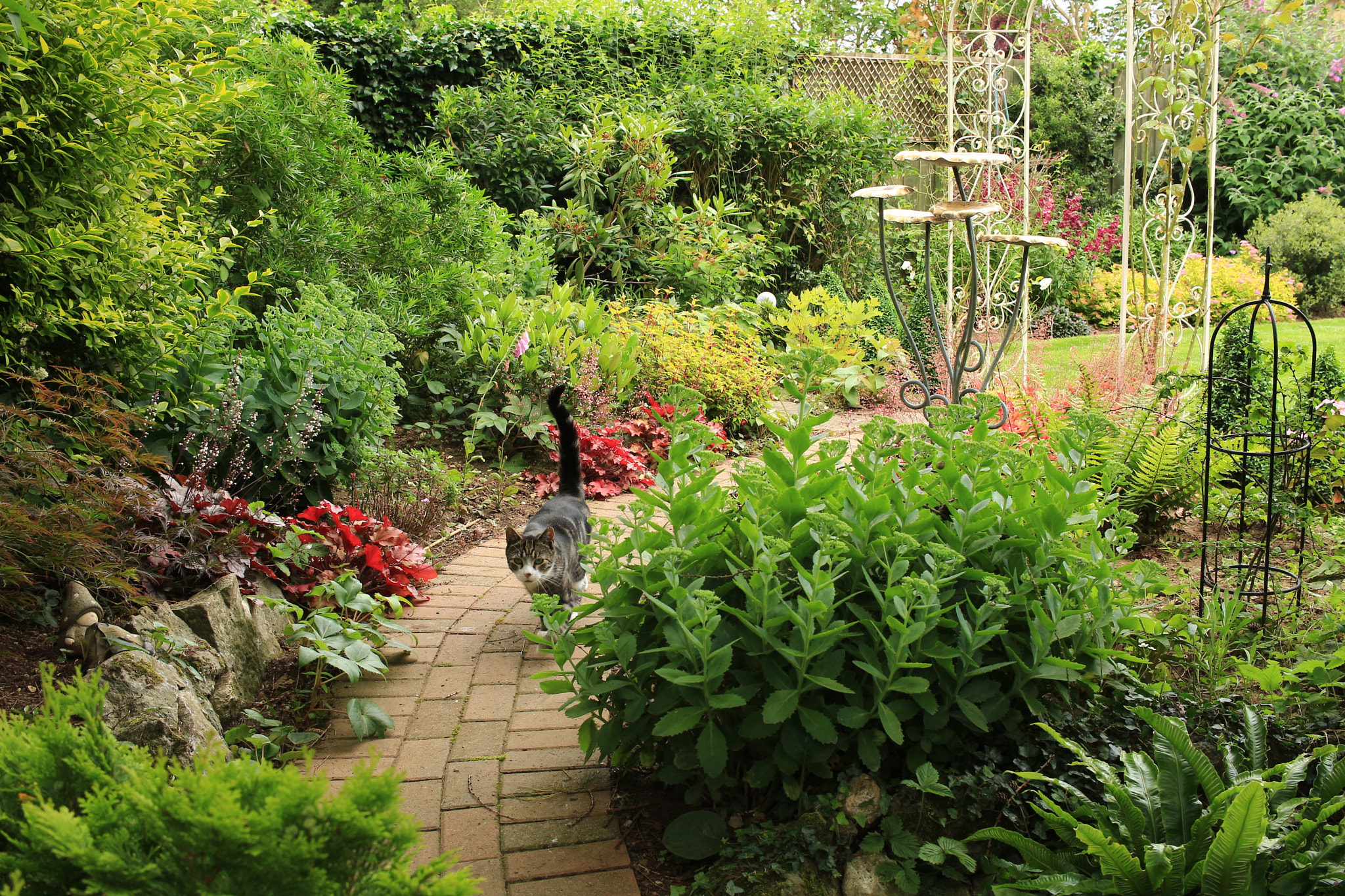 Canon EF-S 24mm F2.8 STM sample photo. Down the path photography