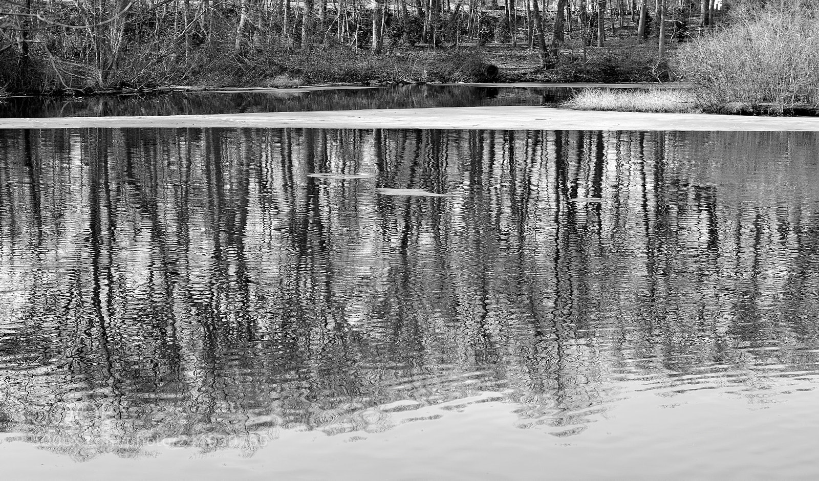 Nikon AF-S Nikkor 50mm F1.8G sample photo. Winter reflected photography