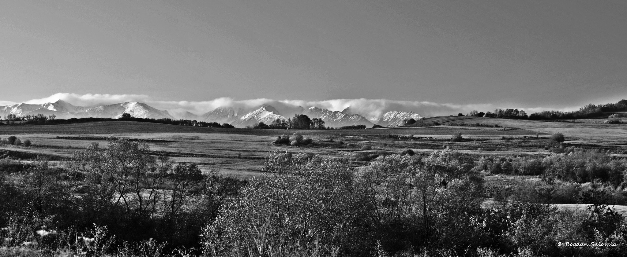 Nikon D300 sample photo. Gbs photography