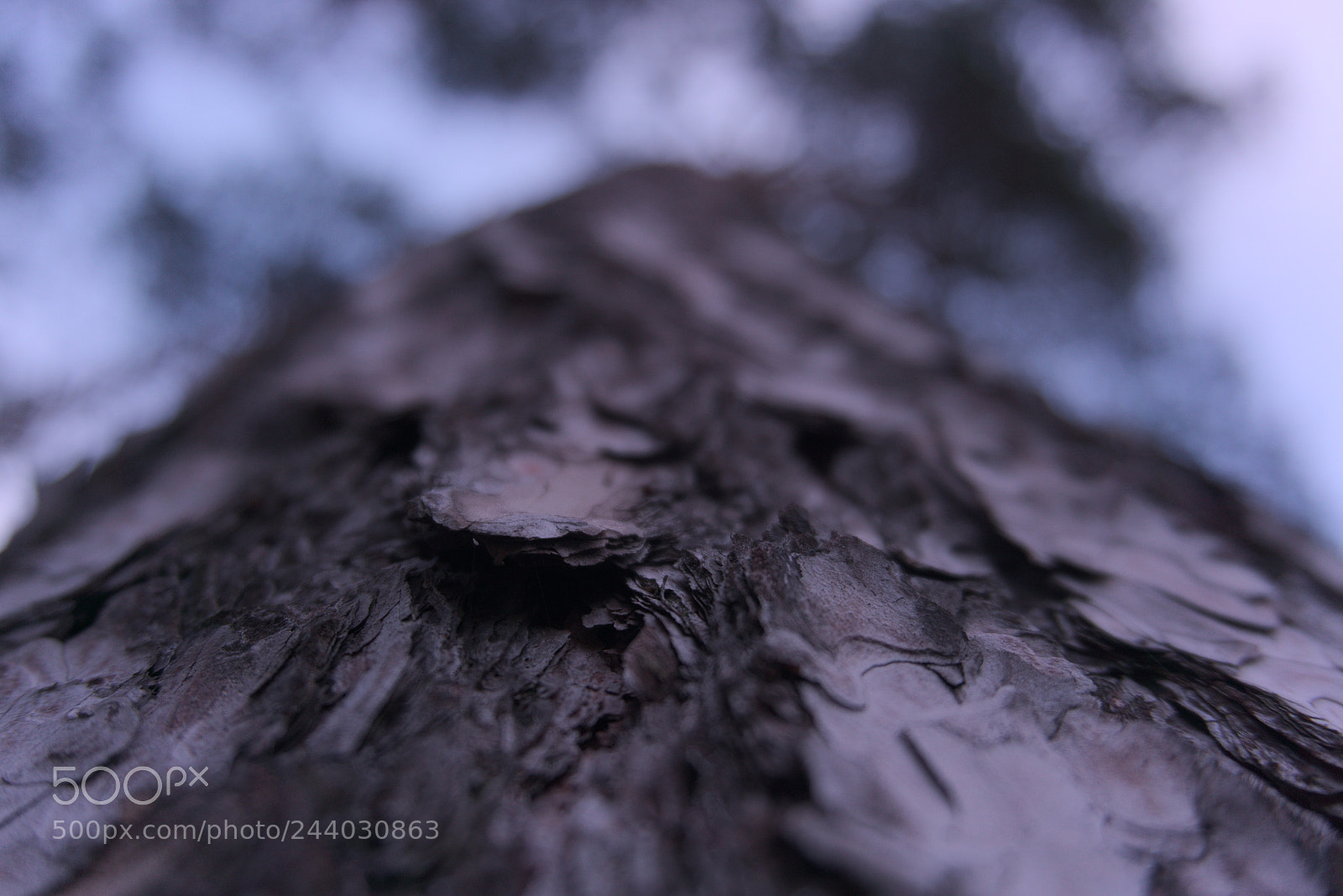 Sony a6000 + Sony E 18-50mm F4-5.6 sample photo. D002 photography