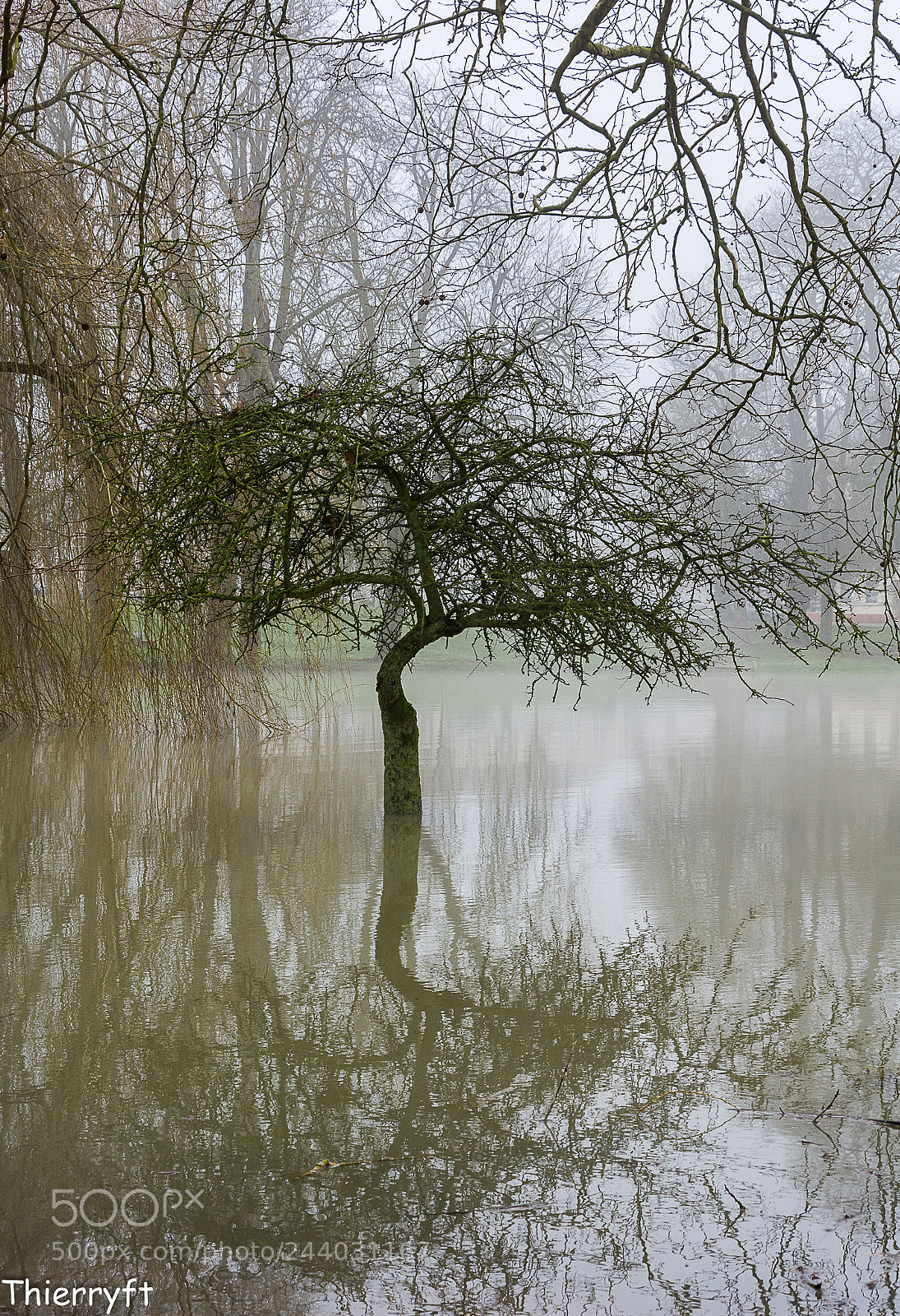 Nikon D7100 sample photo. Brouillard photography