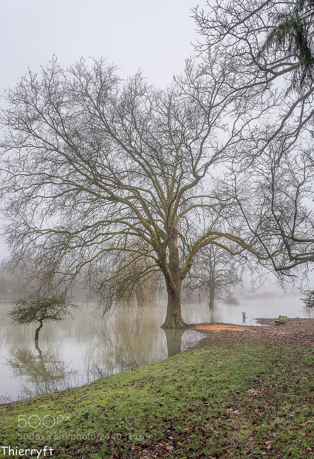 Nikon D7100 sample photo. Brouillard photography