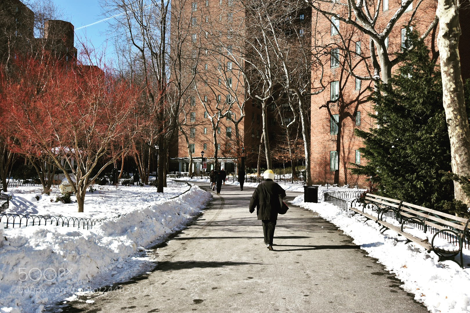 Nikon D3400 sample photo. Oval path in a photography