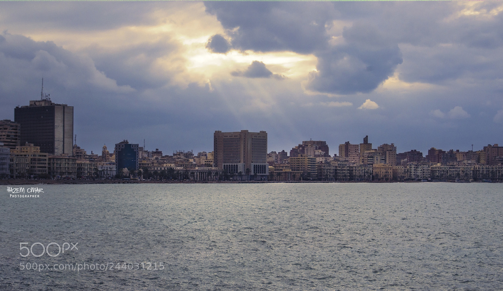 Nikon D3100 sample photo. Untitled photography