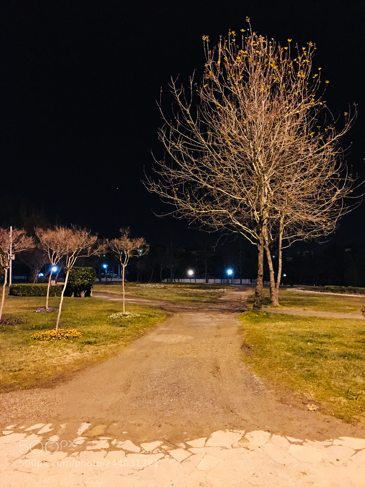 Apple iPhone 6 Plus sample photo. Untitled photography