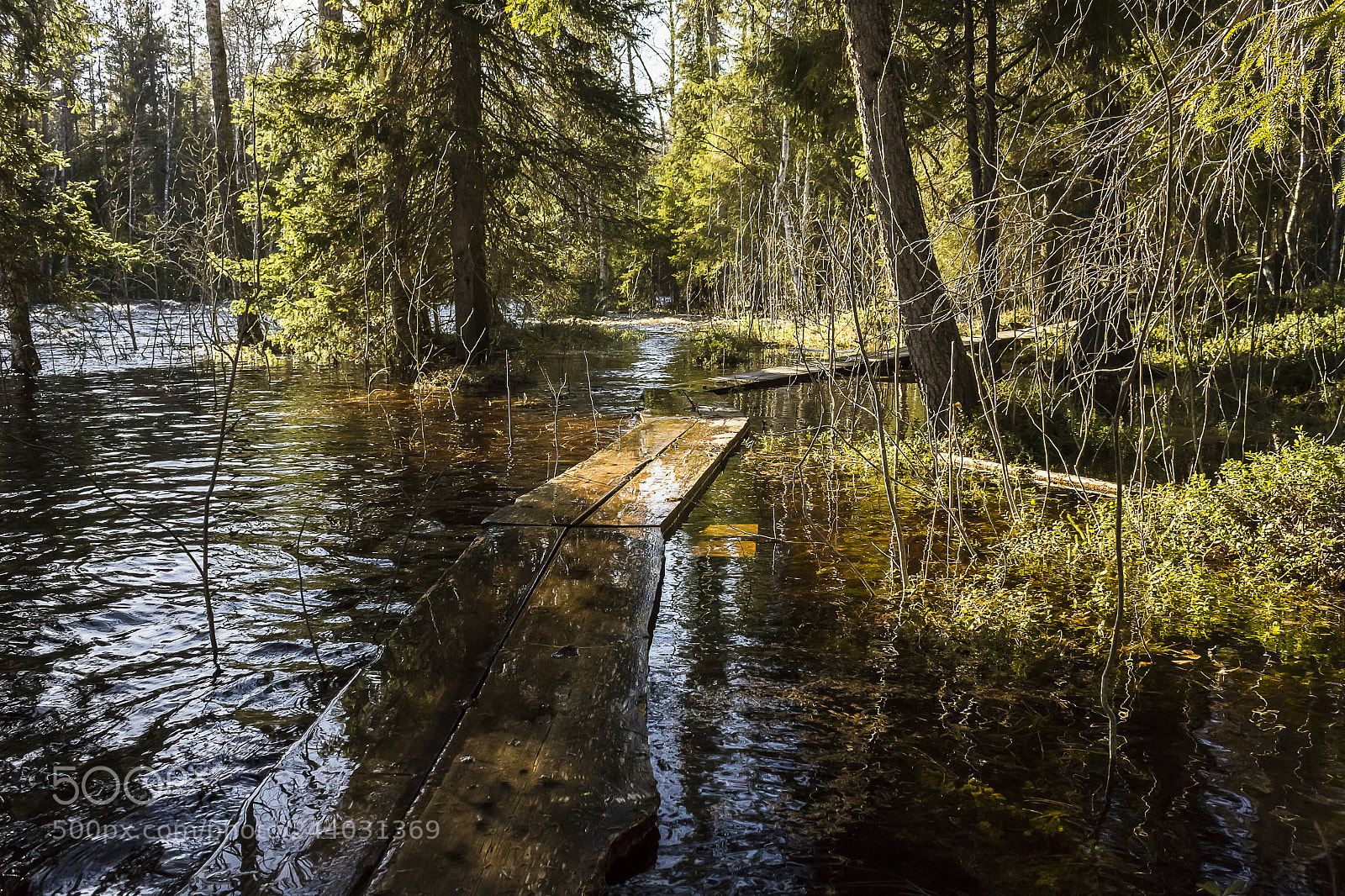 Canon EOS 550D (EOS Rebel T2i / EOS Kiss X4) sample photo. Flooded duckboards photography