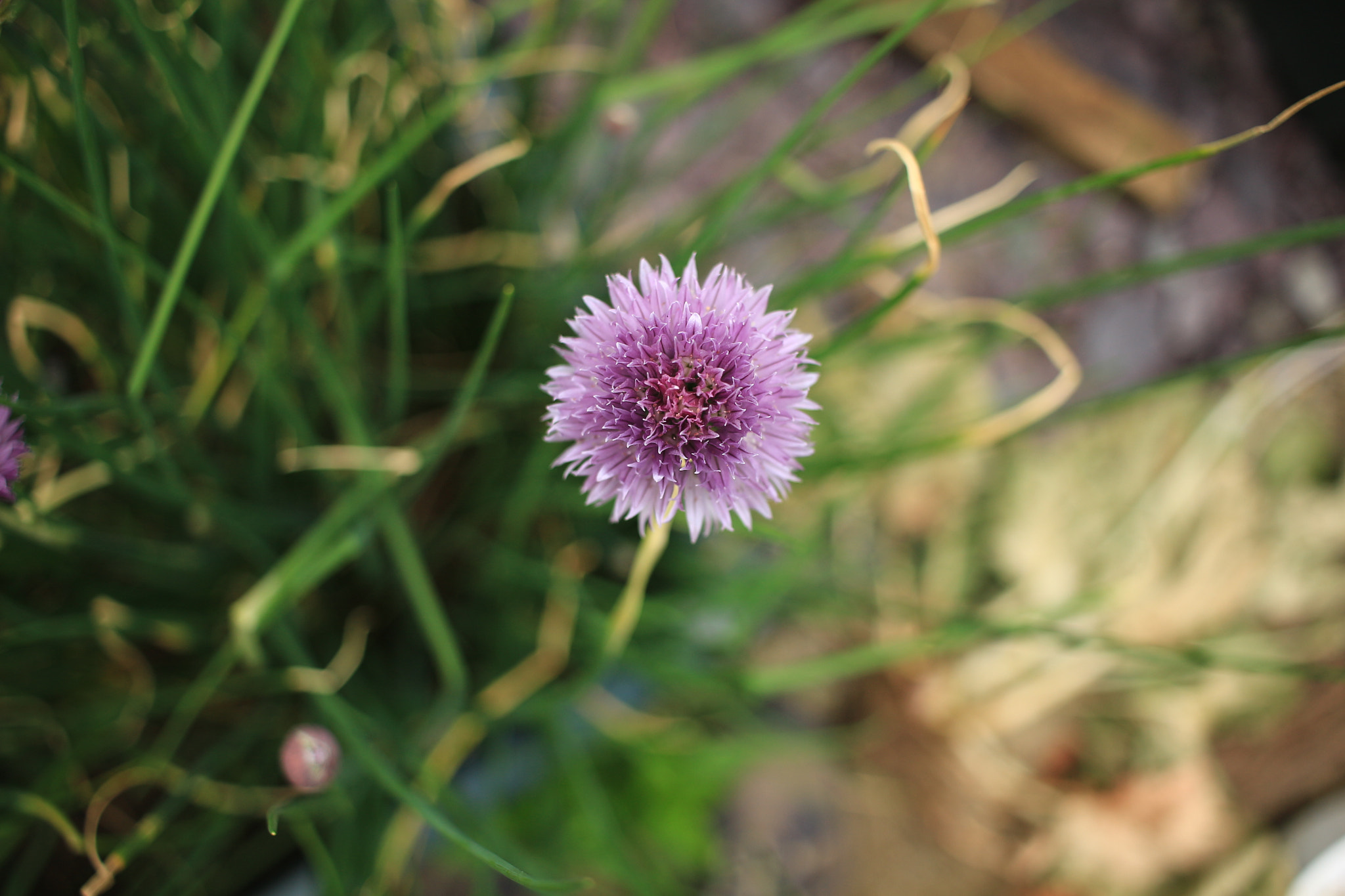 Canon EF-S 24mm F2.8 STM sample photo. Round again photography