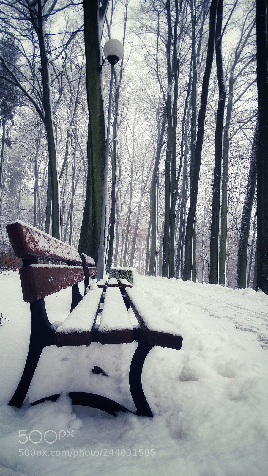 Sony Cyber-shot DSC-HX300 sample photo. Park zwierzyniec photography