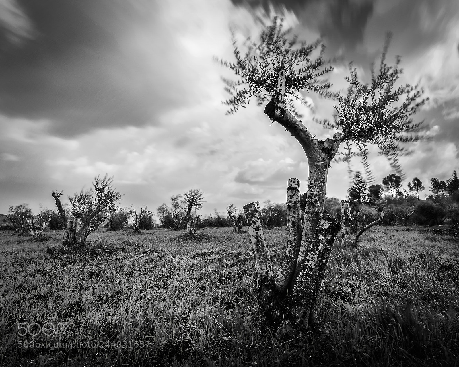 Fujifilm X-T2 sample photo. Sky worshippers photography