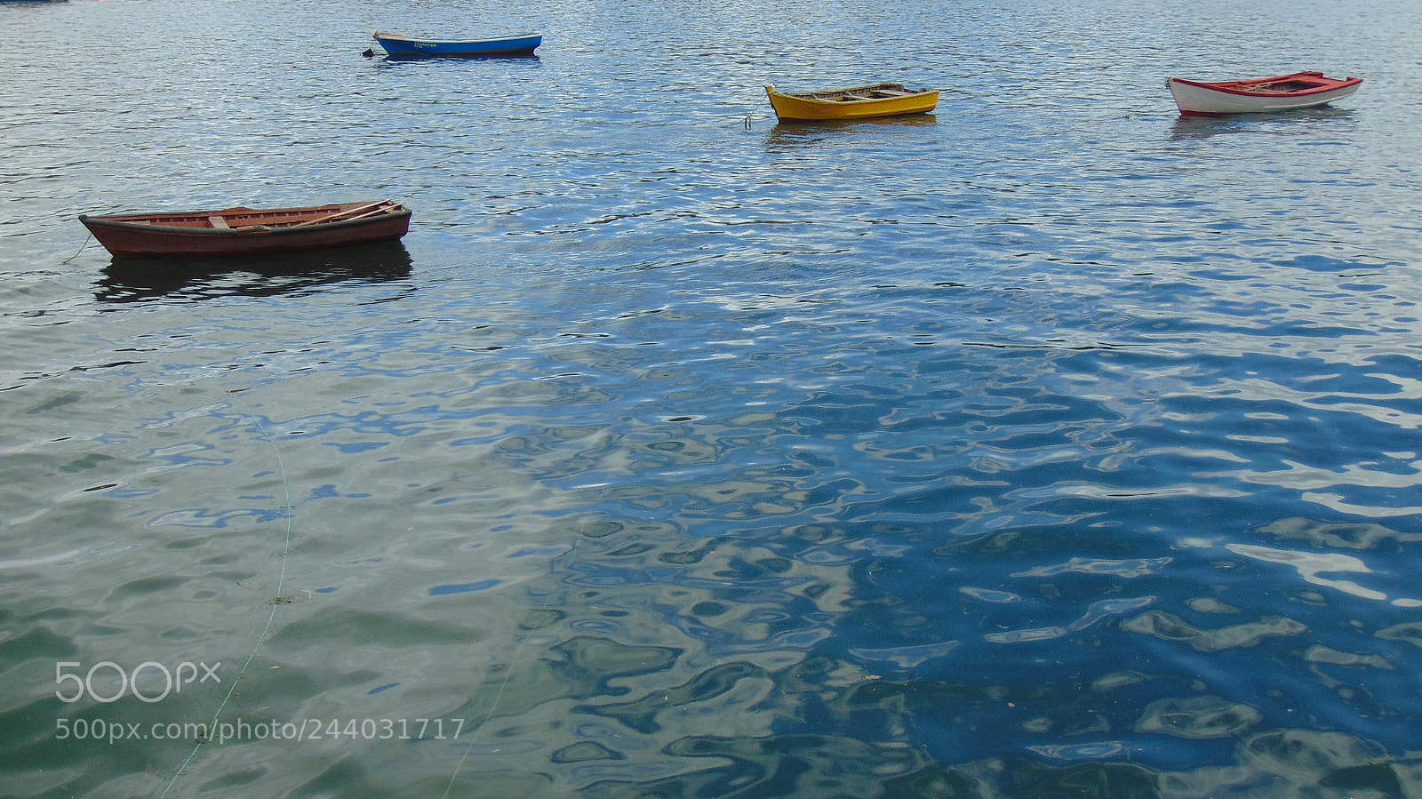 Sony Cyber-shot DSC-H300 sample photo. Dalca photography