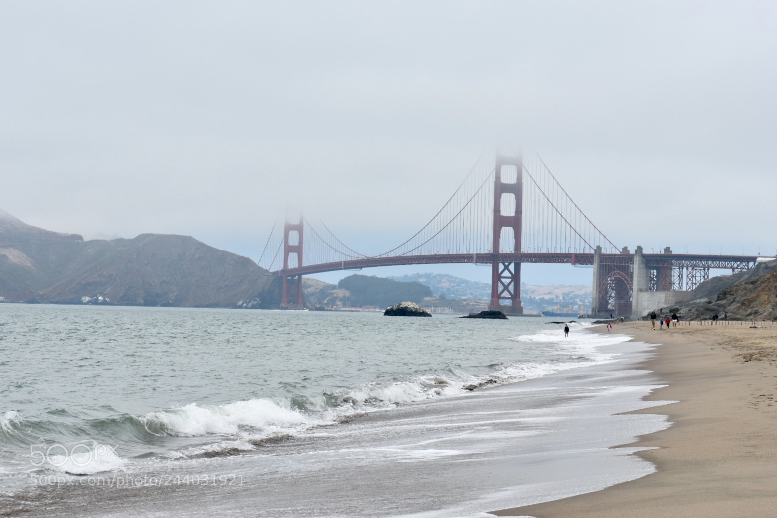Nikon D3400 sample photo. A foggy day at photography