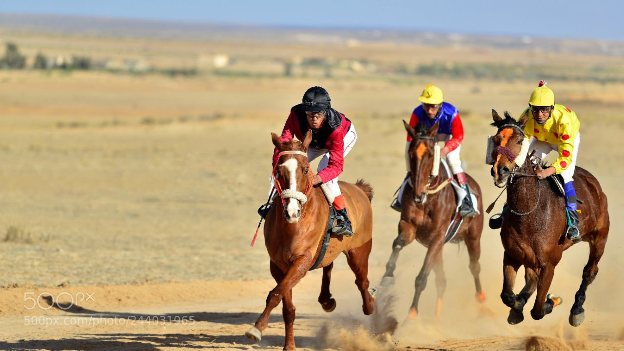 Nikon D800E sample photo. Course hippique photography
