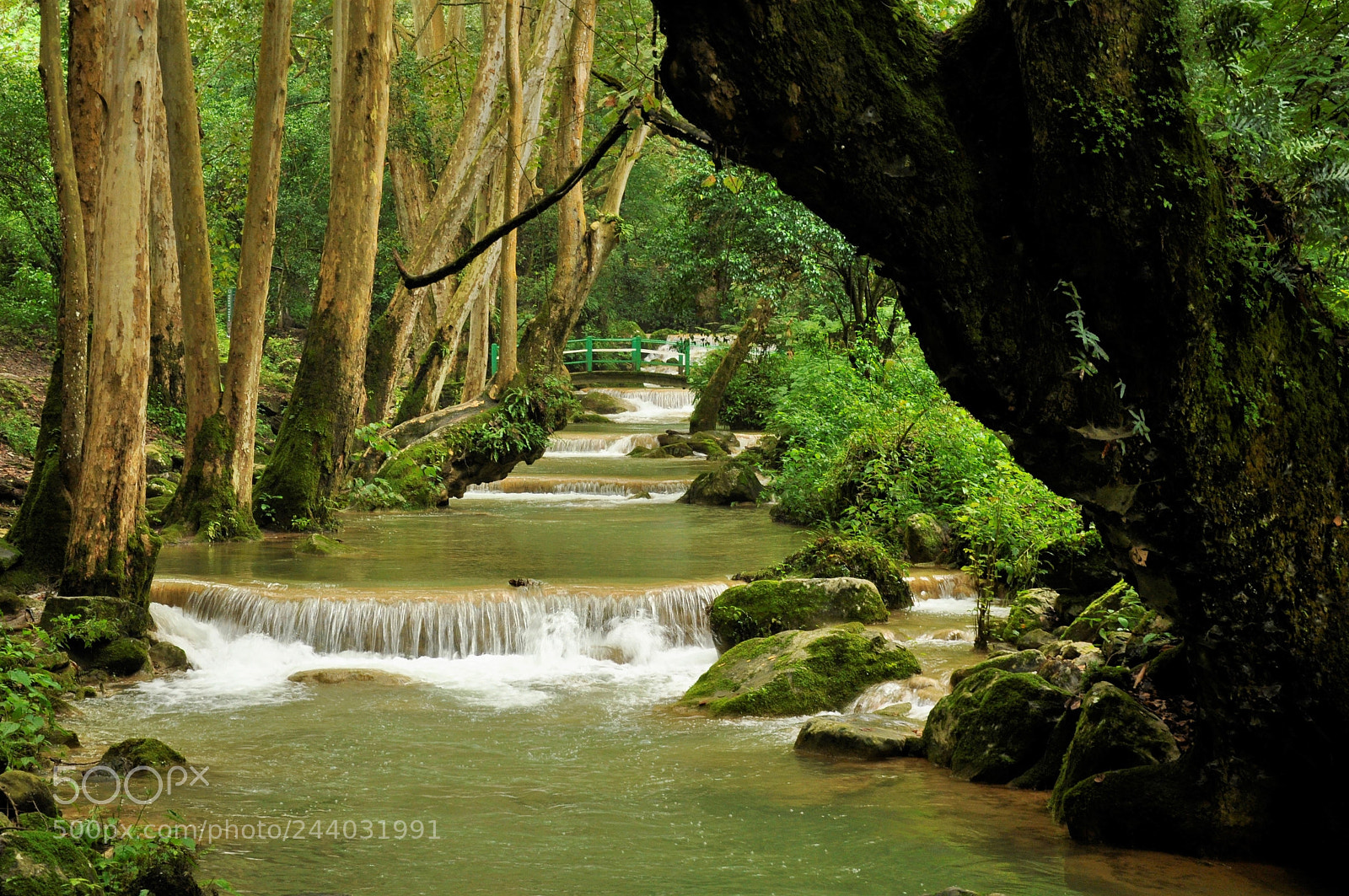 Nikon D90 sample photo. Waterfalls photography