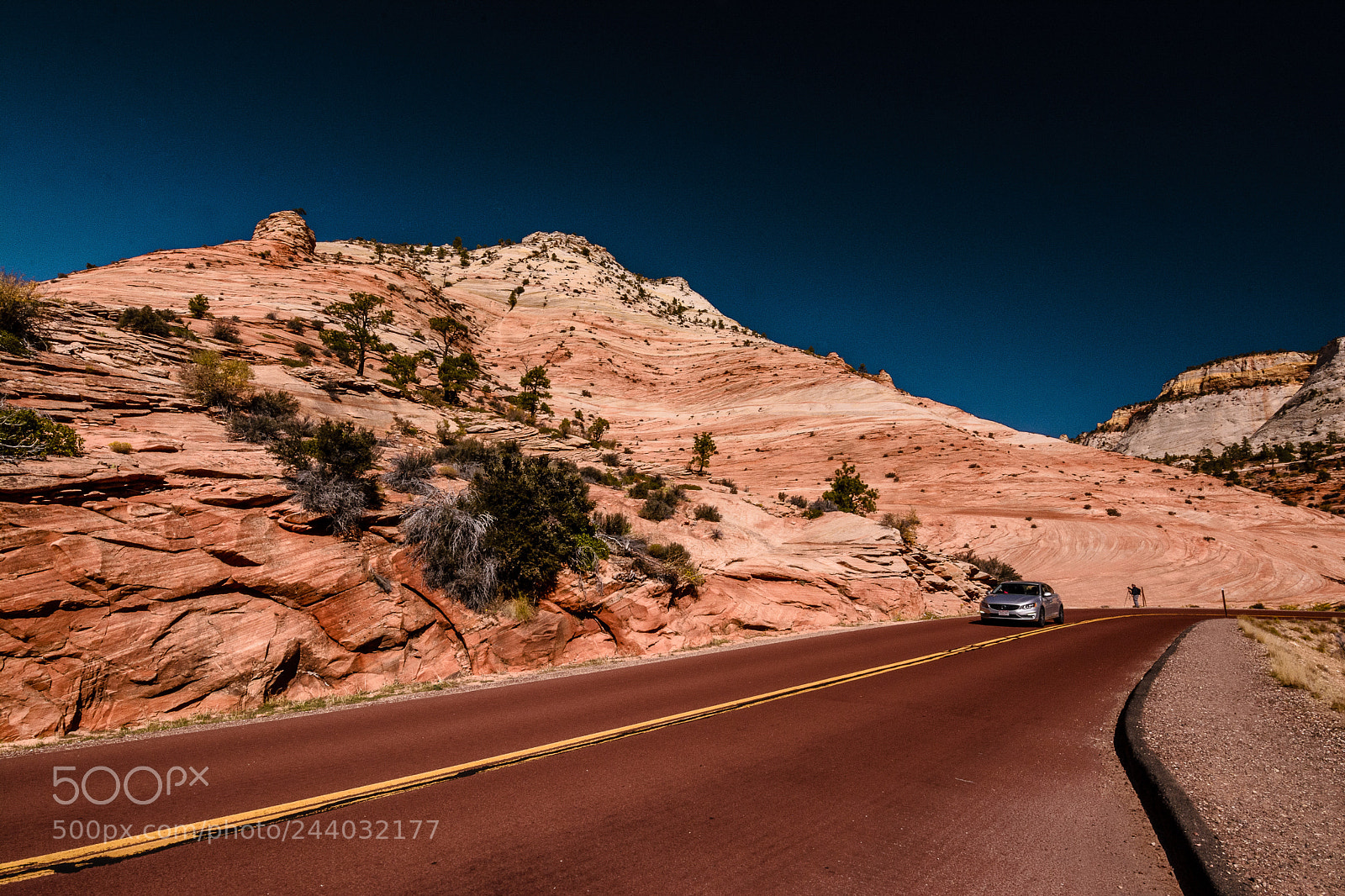 Nikon D7100 sample photo. Zion photography