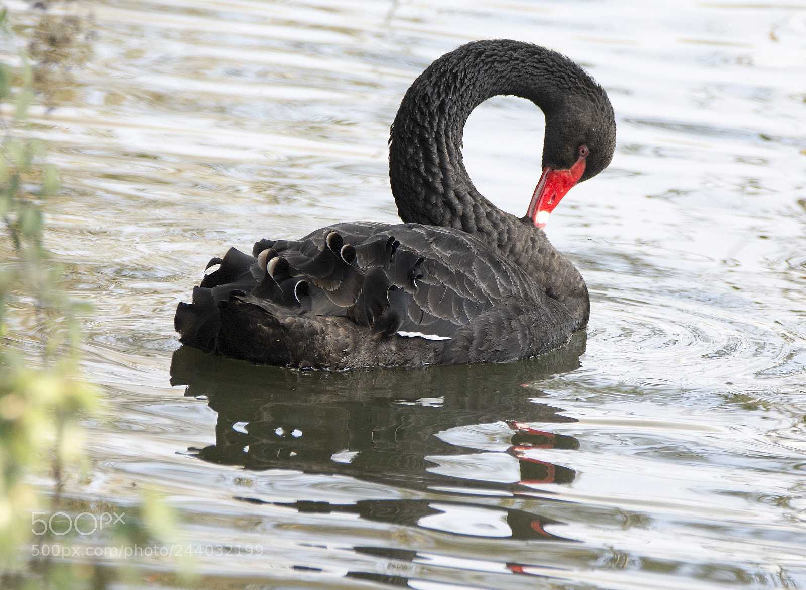Nikon D7100 sample photo. O photography