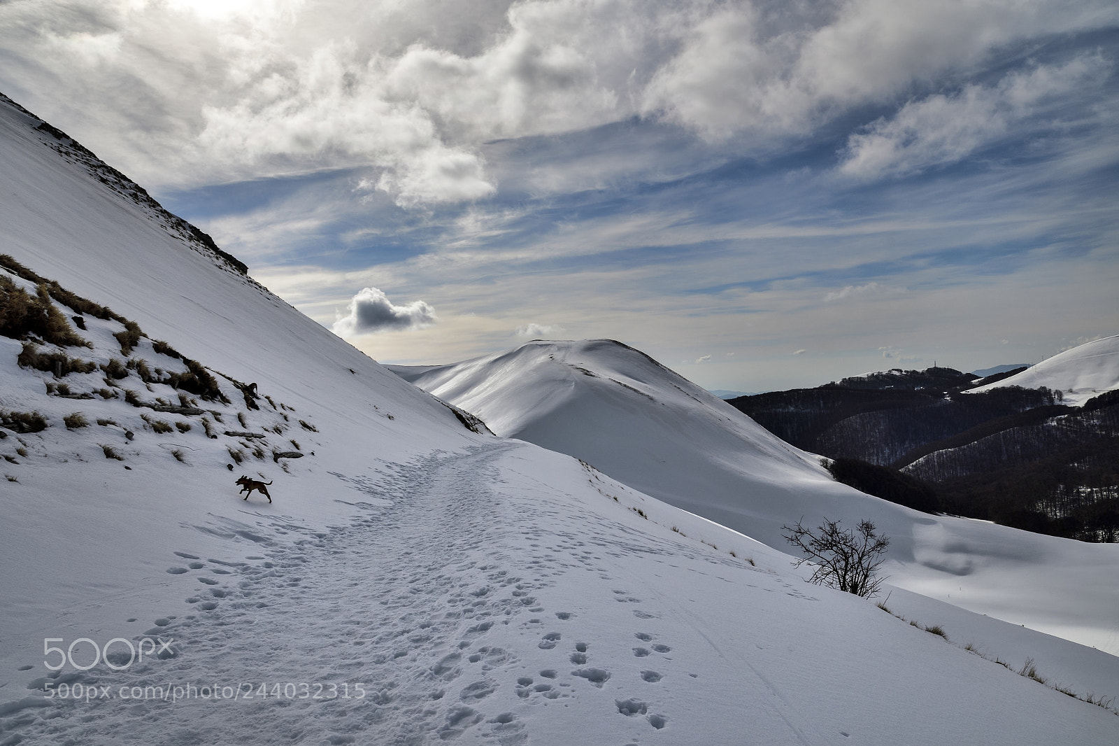 Nikon D500 sample photo. Terminillo photography