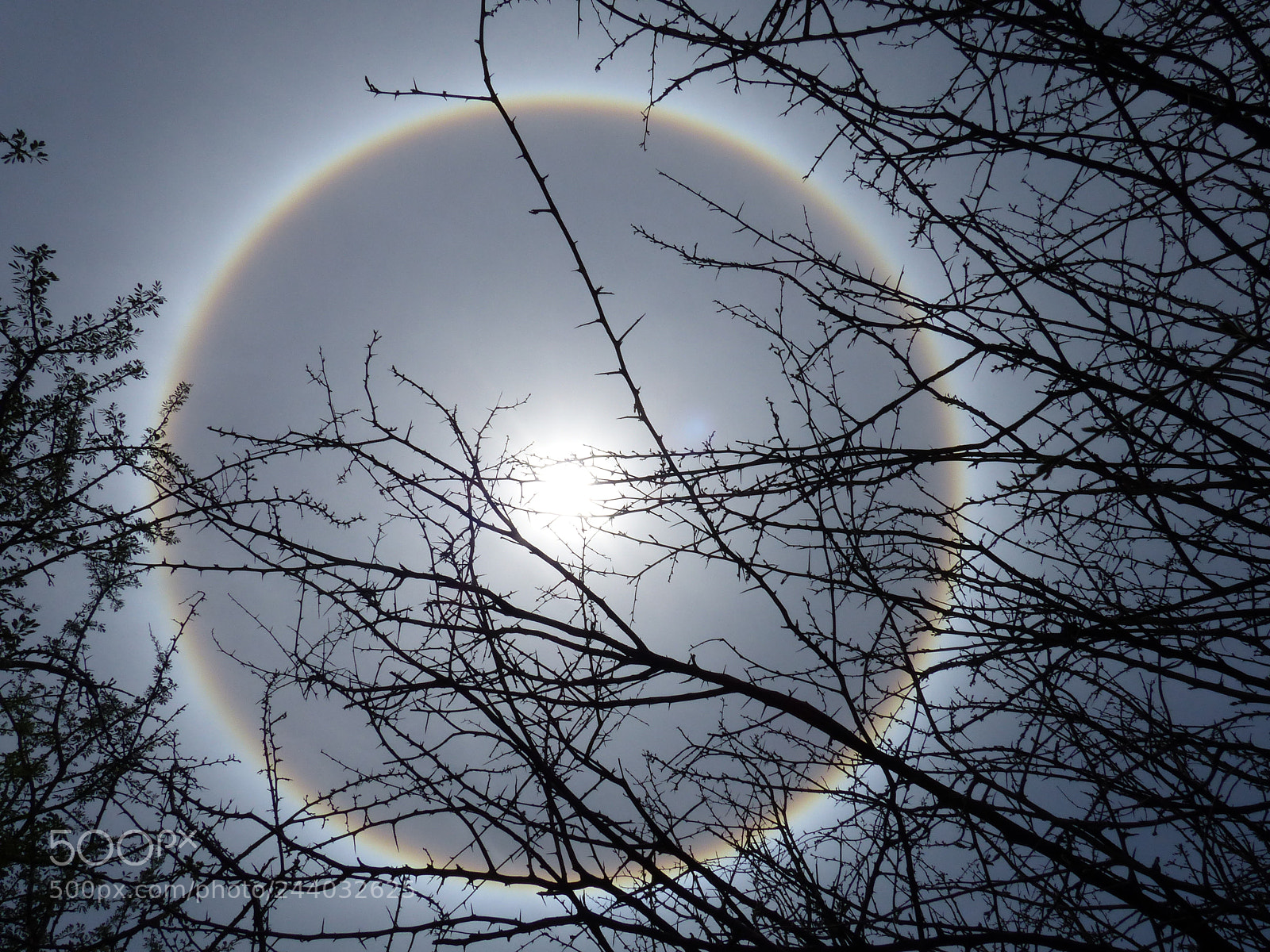 Panasonic Lumix DMC-FZ200 sample photo. Sonnenhalo photography