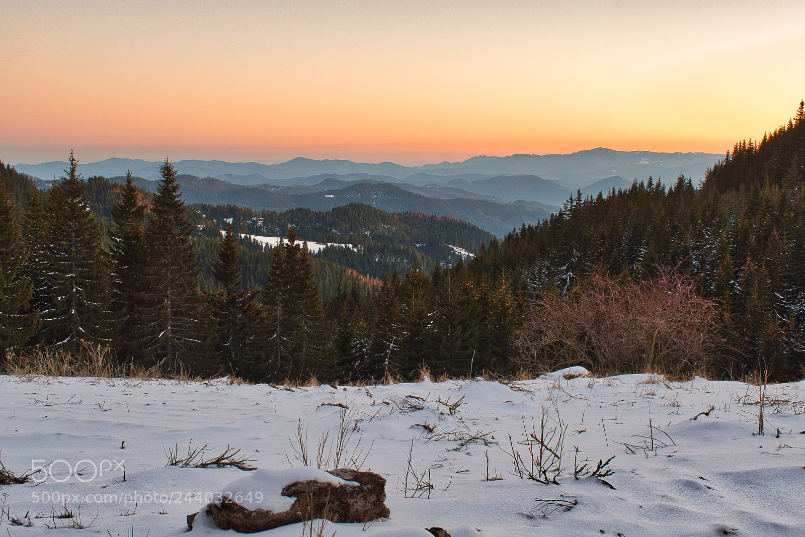 Nikon D5600 sample photo. Winter sunset photography