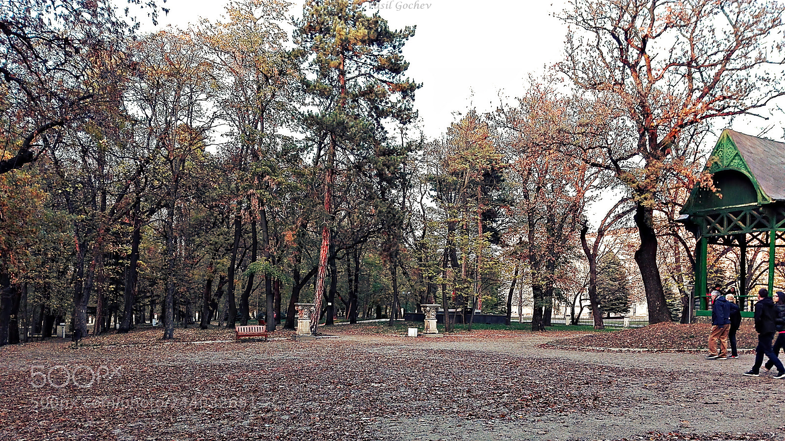 HUAWEI Y6II sample photo. Beautiful park photography