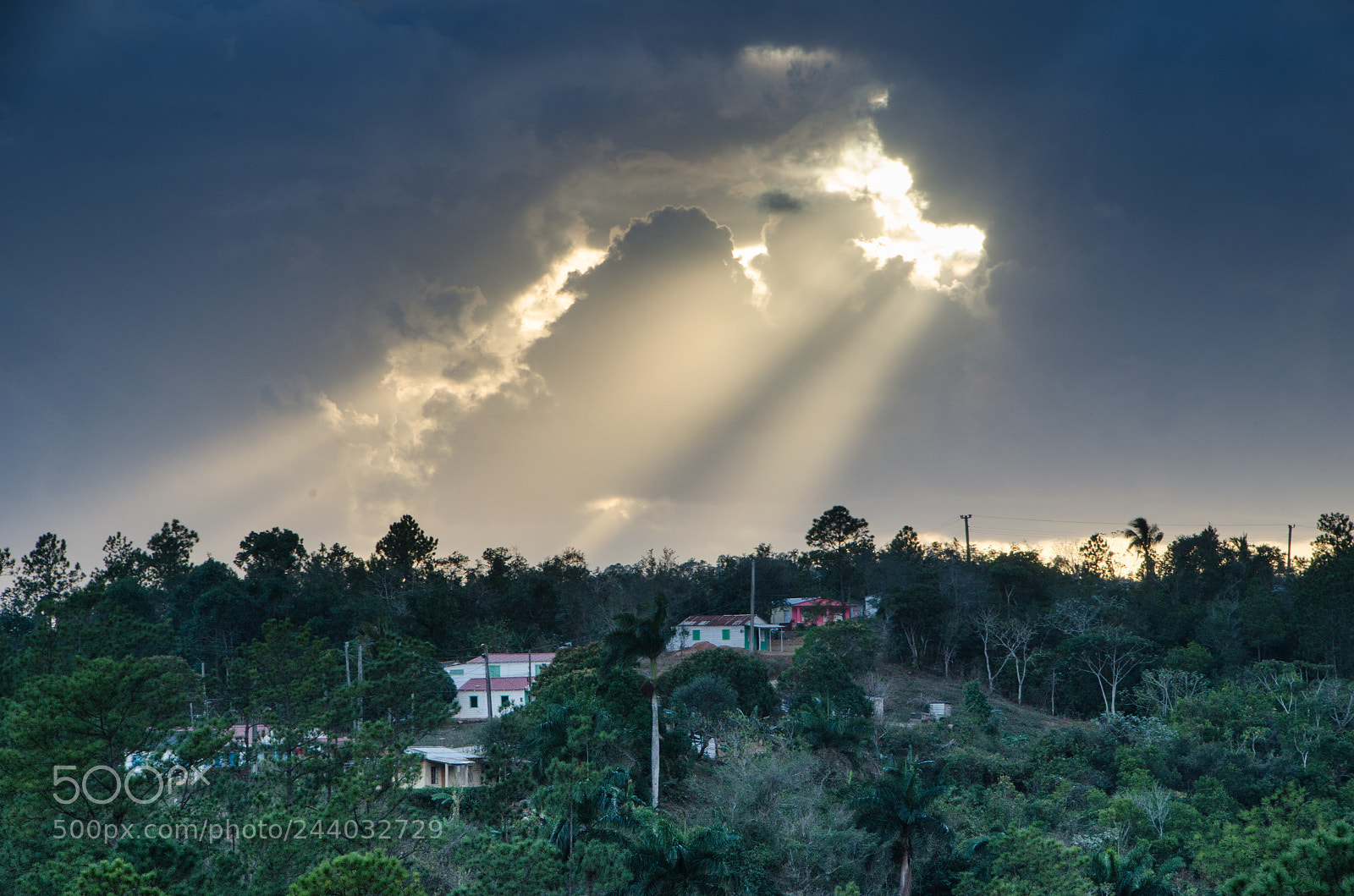 Nikon D5100 sample photo. Evening sun rays through photography
