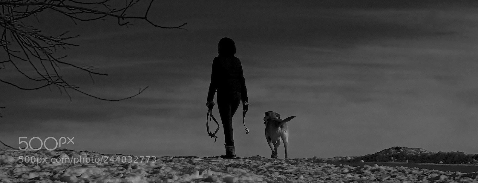 Fujifilm X-T2 sample photo. Calgary photography