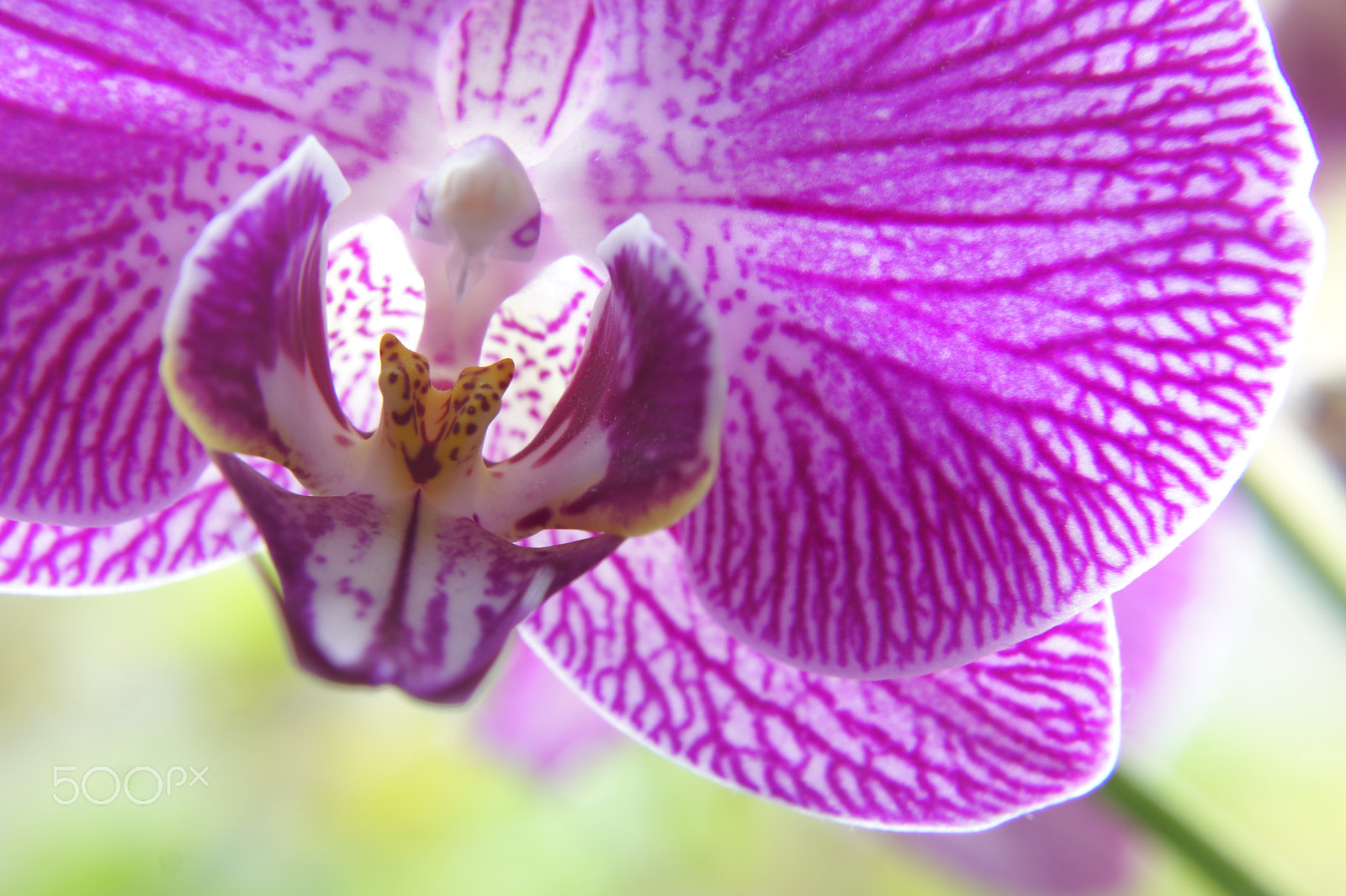 Sony SLT-A77 + Sony DT 16-50mm F2.8 SSM sample photo. Stilte photography