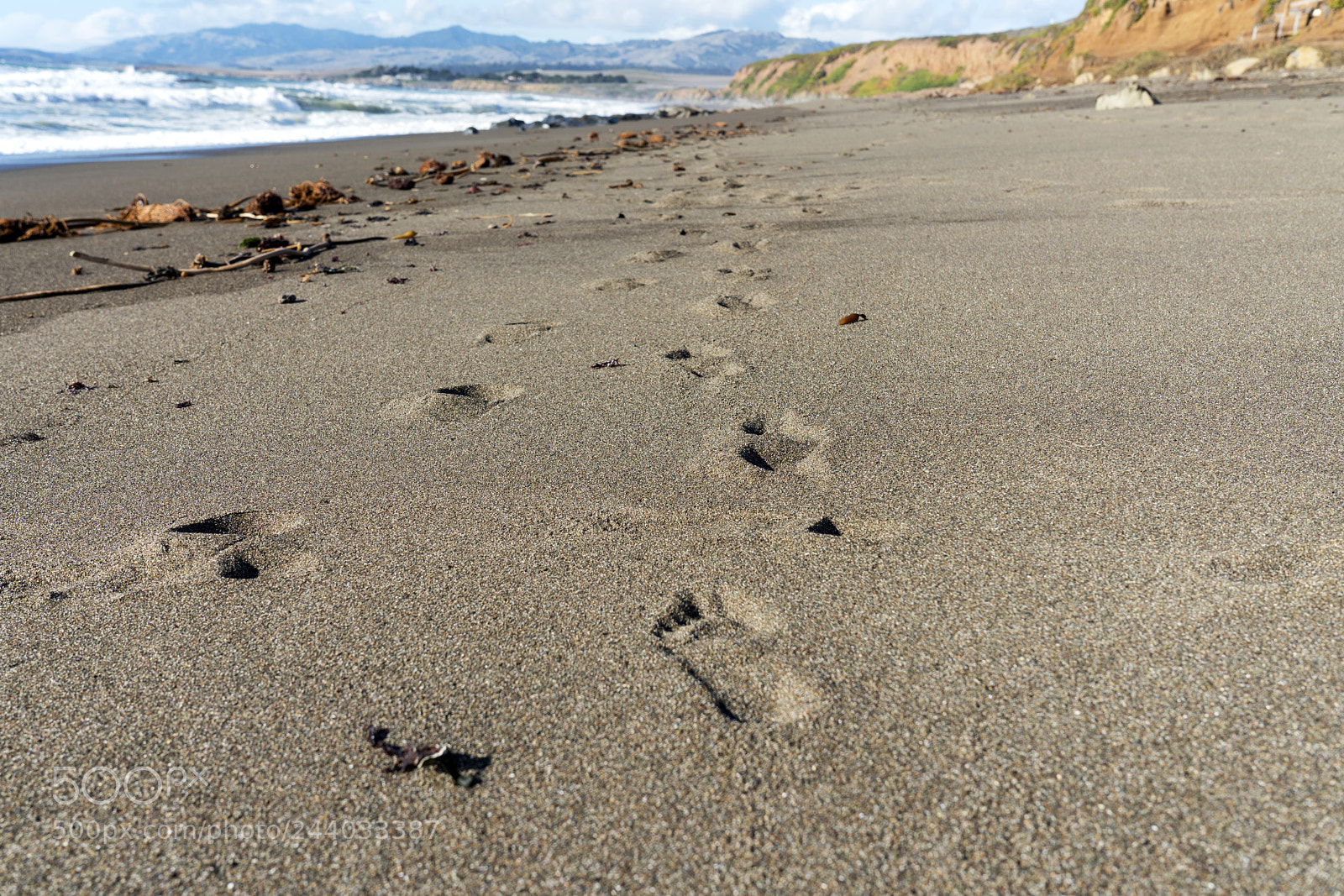 Sony a7R II sample photo. Walkin' on the sand photography