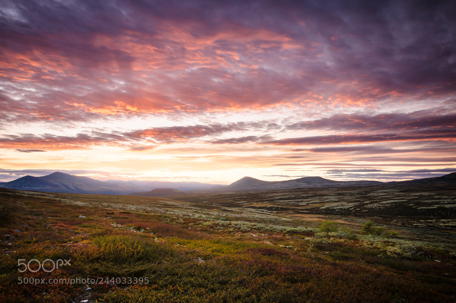 Nikon D5100 sample photo. Sunset in the rondane photography