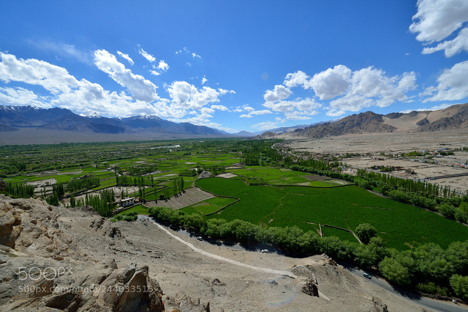 Nikon D800 sample photo. Mountain valley in ladakh photography