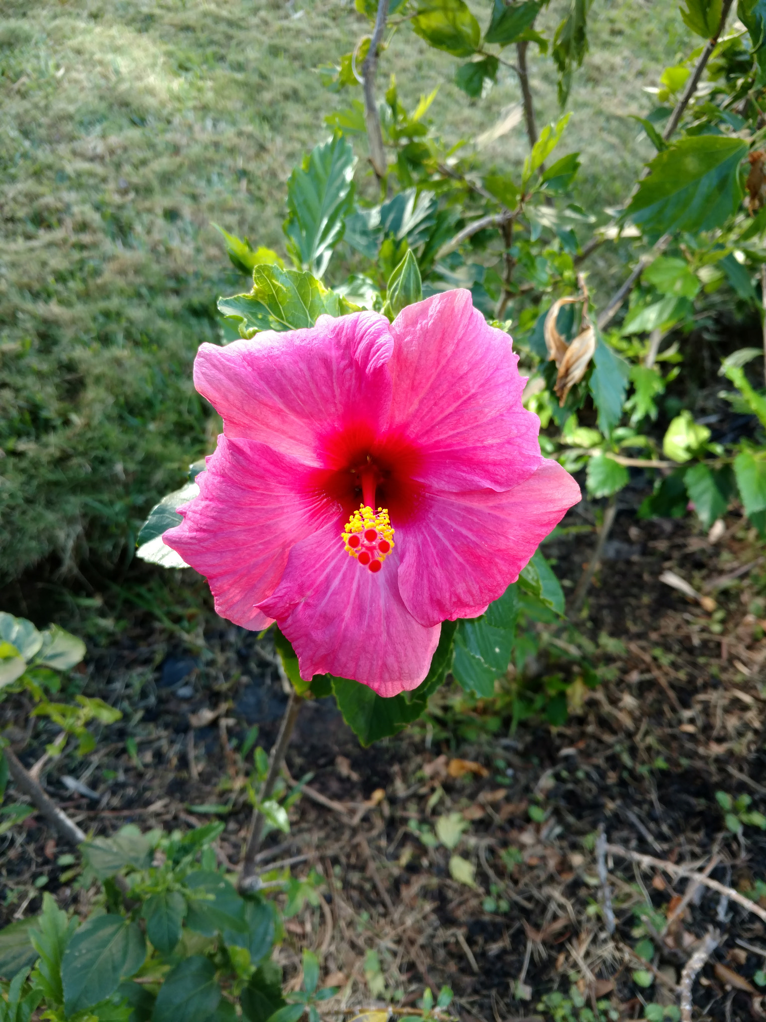Motorola DROID Turbo 2 sample photo