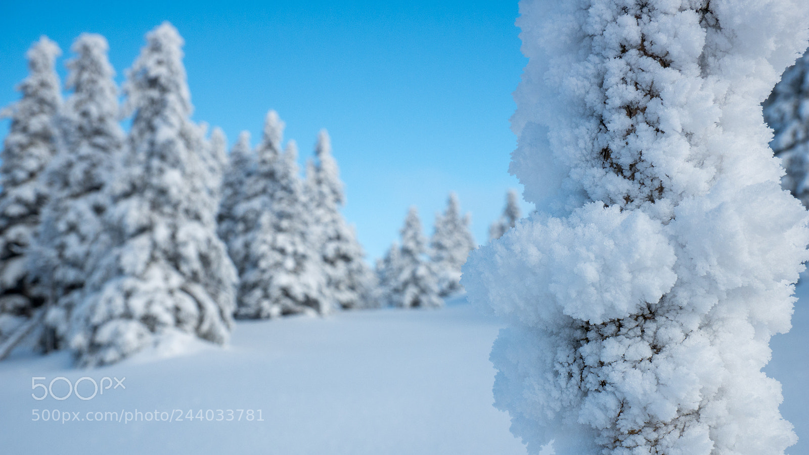 Panasonic Lumix DMC-G85 (Lumix DMC-G80) sample photo. Winter photography