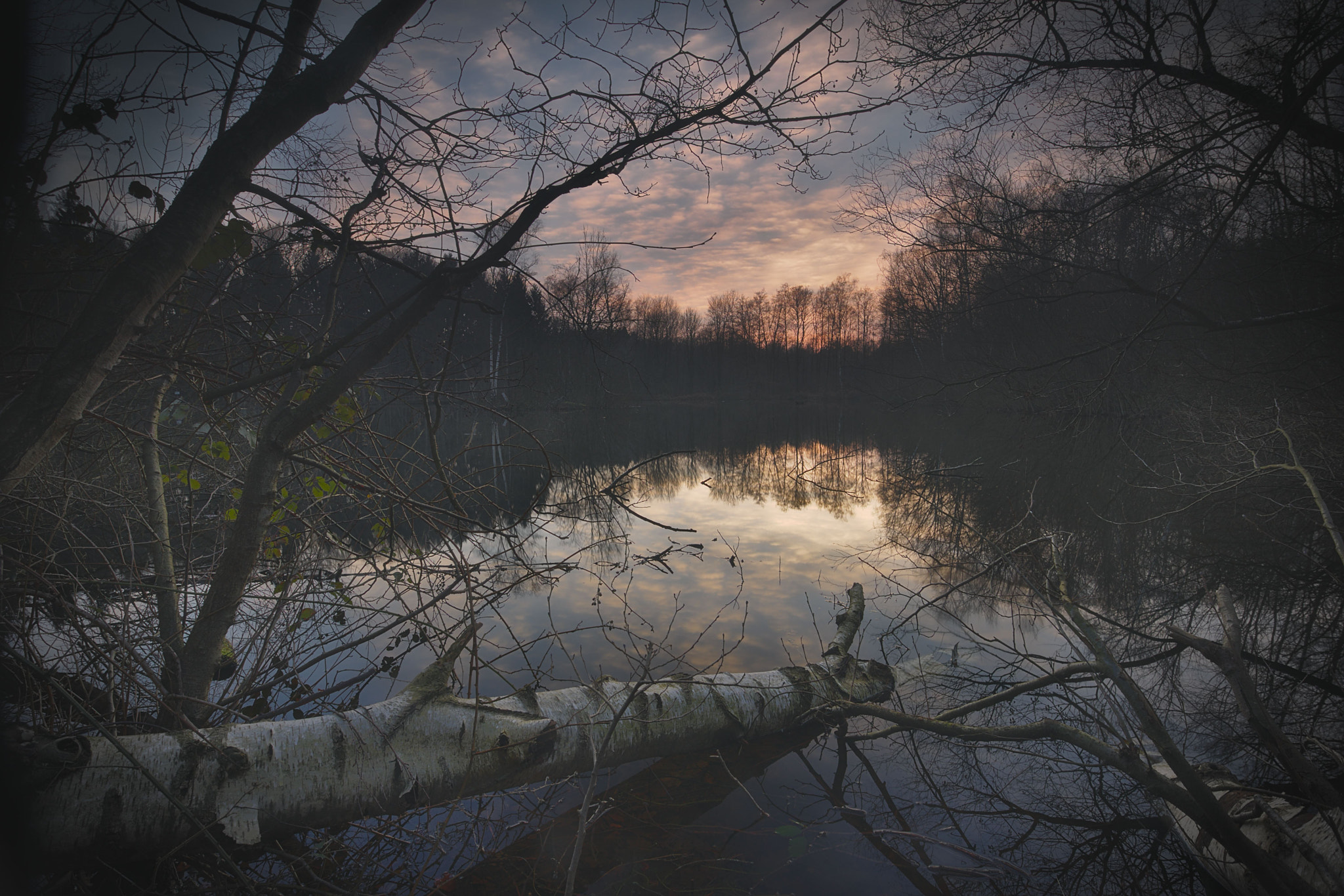 Canon EOS M5 + Canon EF-M 11-22mm F4-5.6 IS STM sample photo. Leyenweiher photography