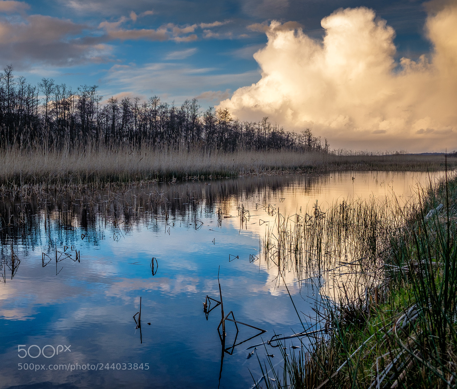 Fujifilm X-T2 sample photo. Dutch skies photography
