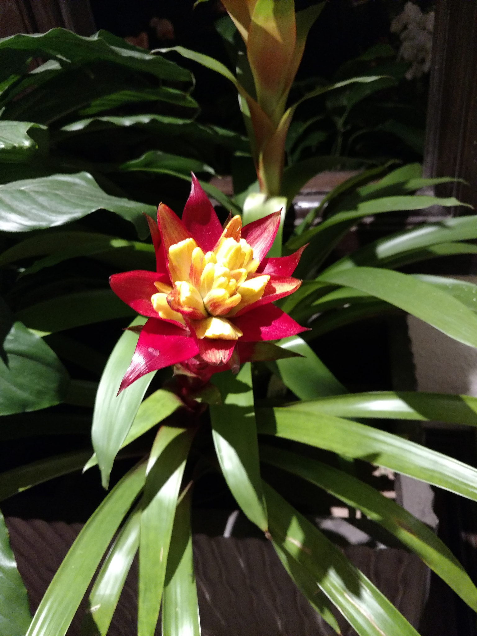 Motorola DROID Turbo 2 sample photo