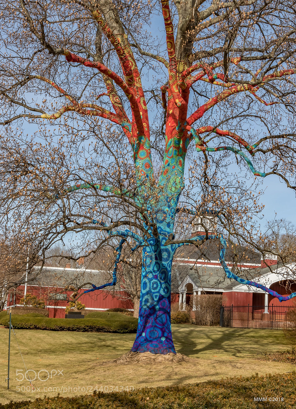 Canon EOS 77D (EOS 9000D / EOS 770D) sample photo. Sweater tree photography