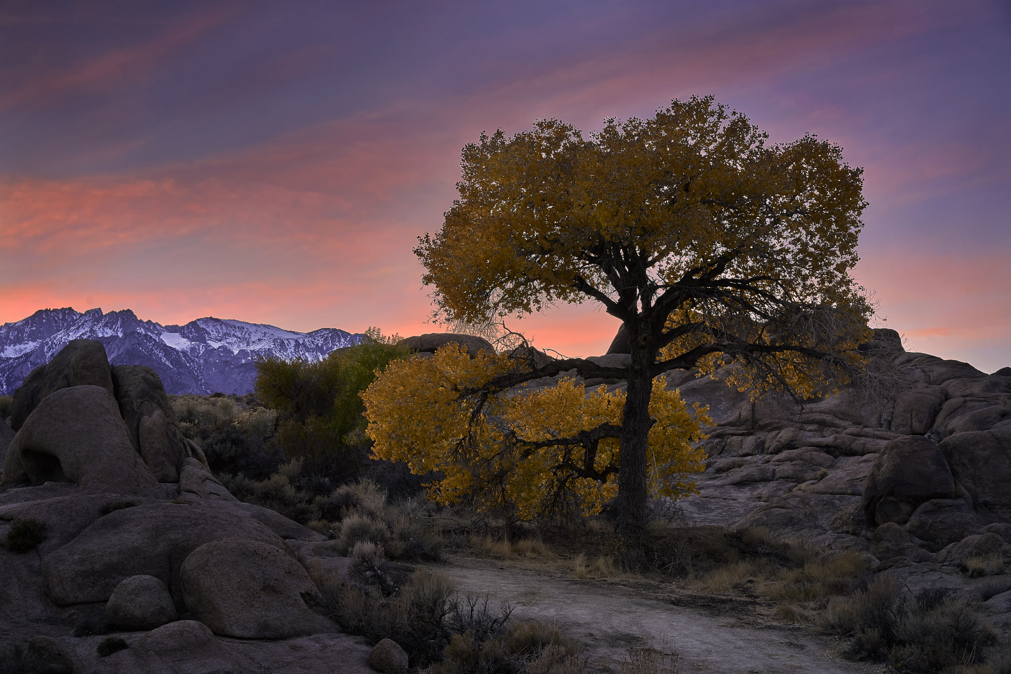 Sony a7 II + Sony Sonnar T* FE 55mm F1.8 ZA sample photo. Last autumn colors in alabama hills photography