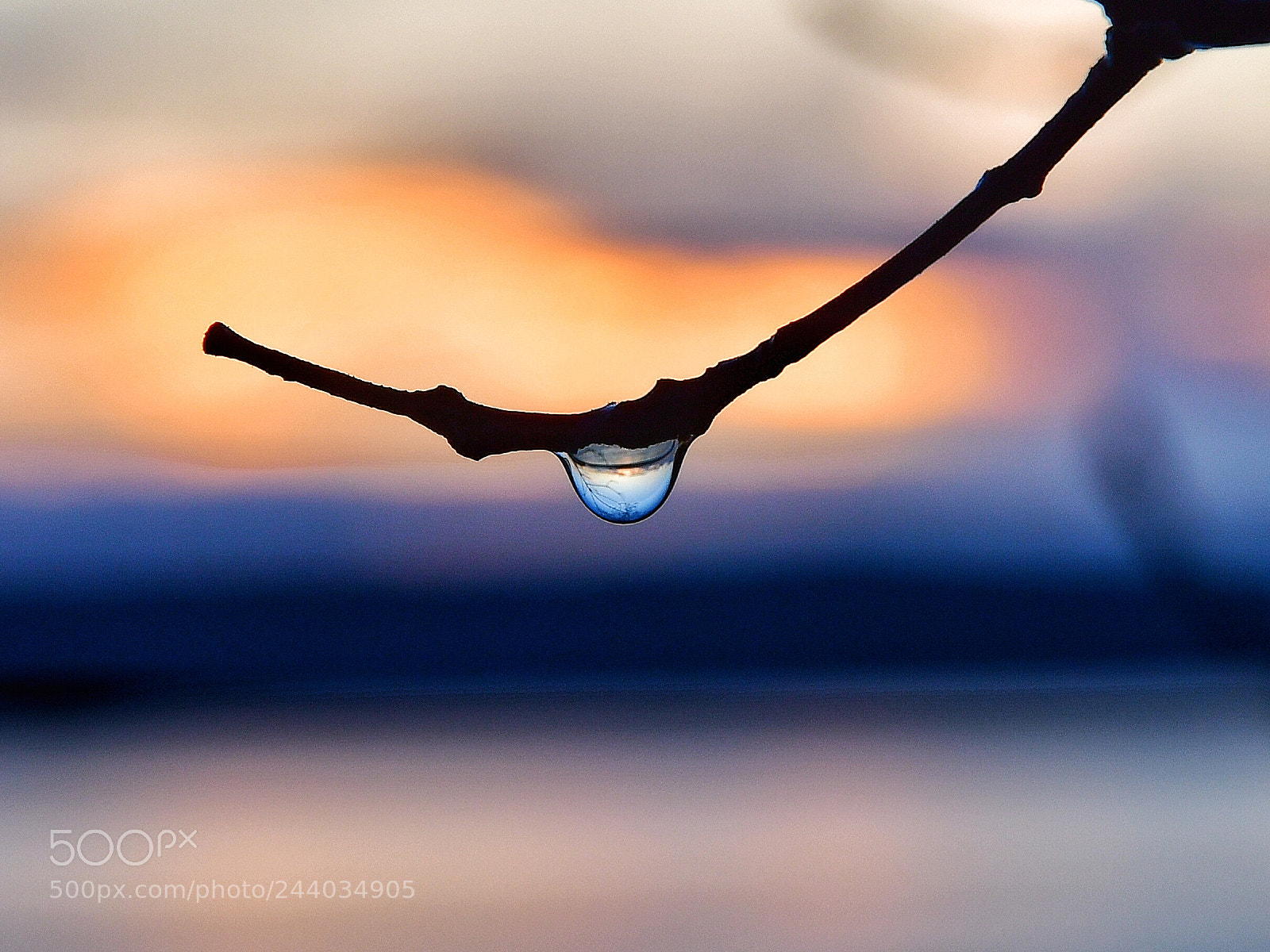 Nikon D500 sample photo. Water drop photography