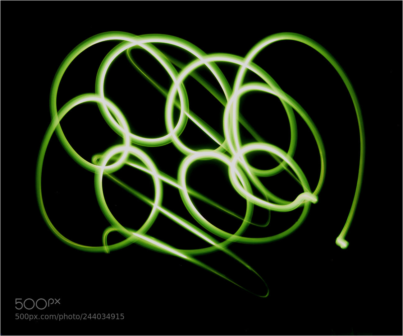 Nikon D200 sample photo. Art of green photography