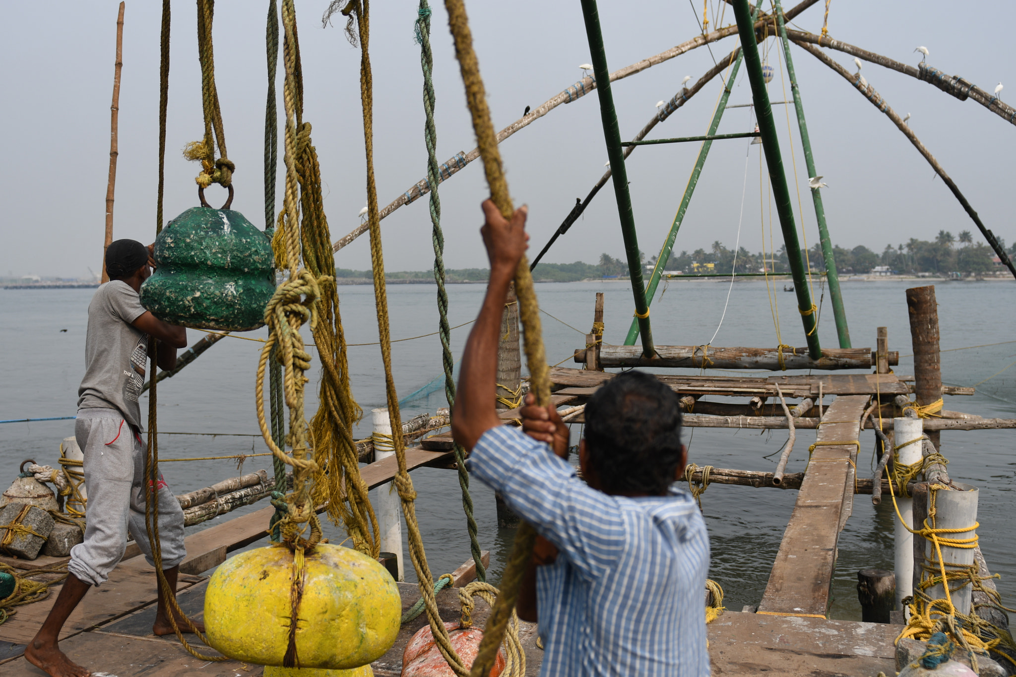 Nikon AF-S Nikkor 24-70mm F2.8G ED sample photo. Chinese fishing nets in cochin photography