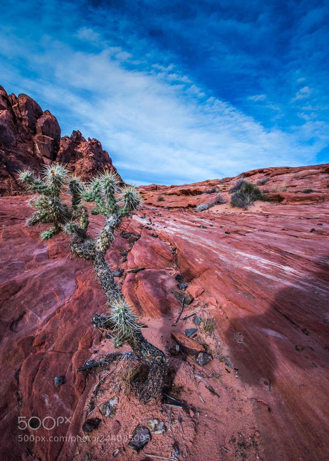 Nikon D7200 sample photo. Valley of fire photography
