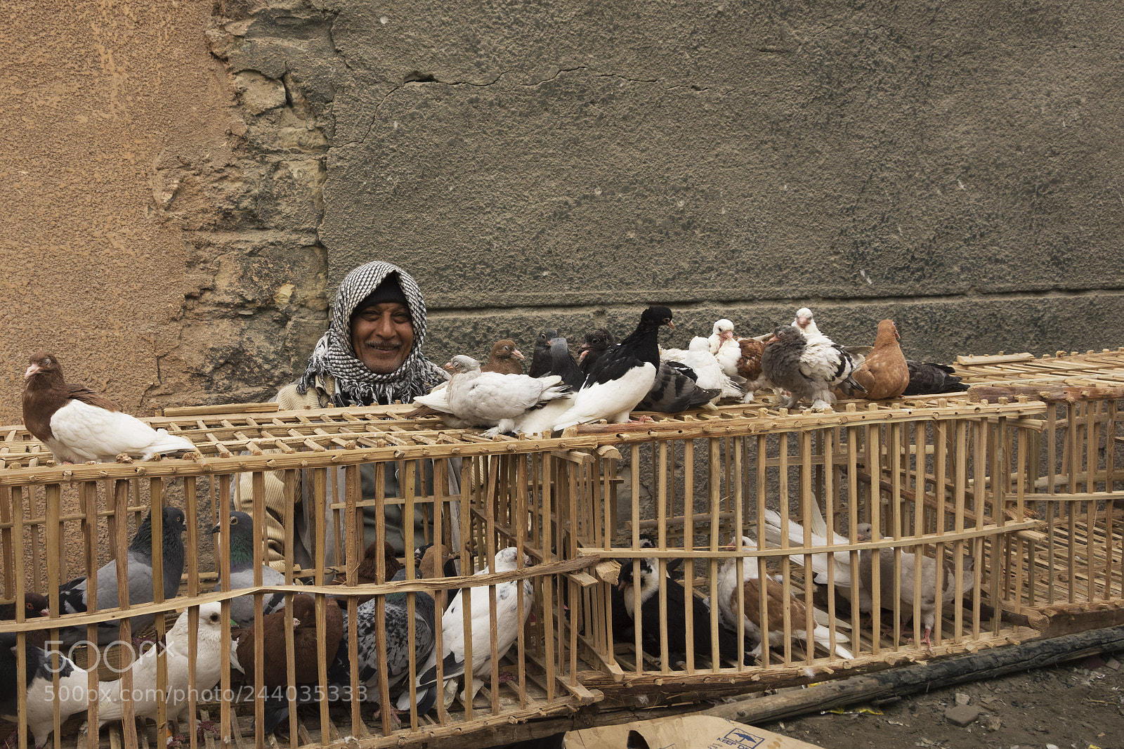 Nikon D7200 sample photo. Bird farmer photography
