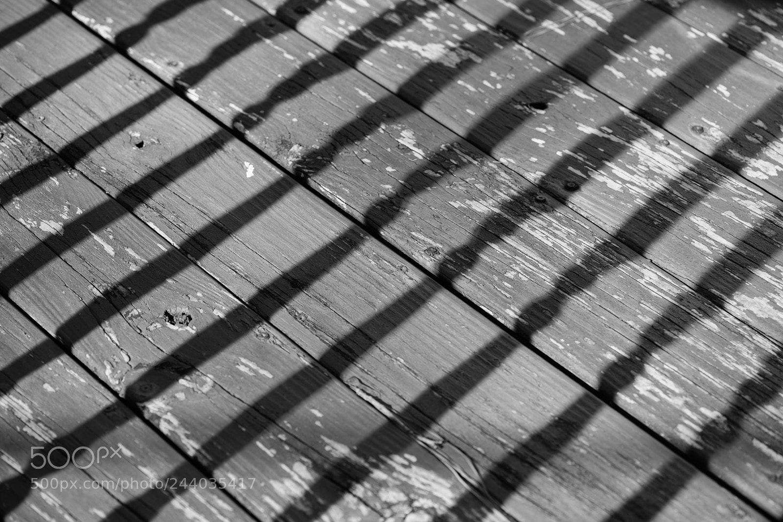 Nikon D810 sample photo. Weekend 4: patterns photography