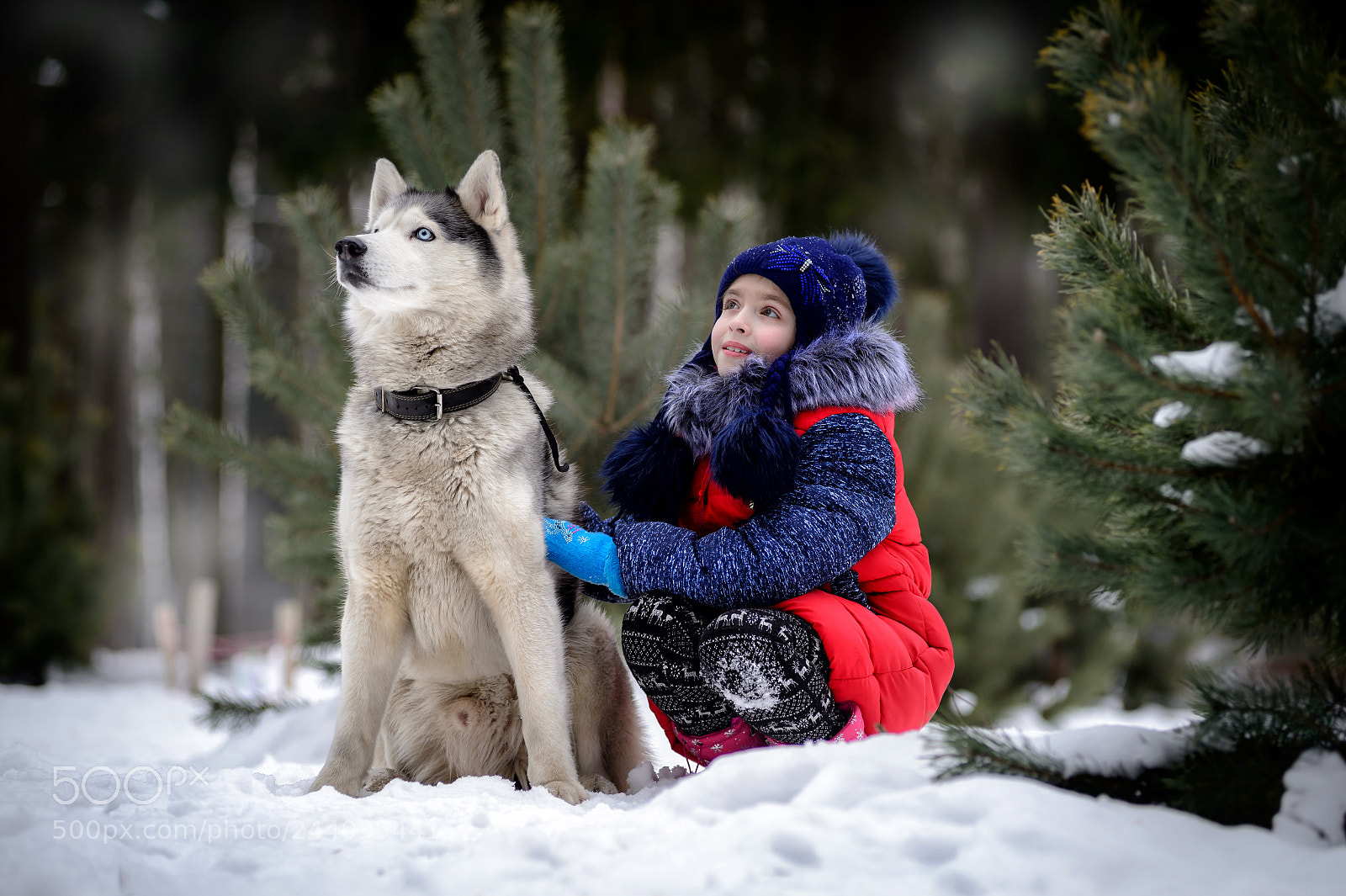 Nikon D4 sample photo. Девочка и собачка photography