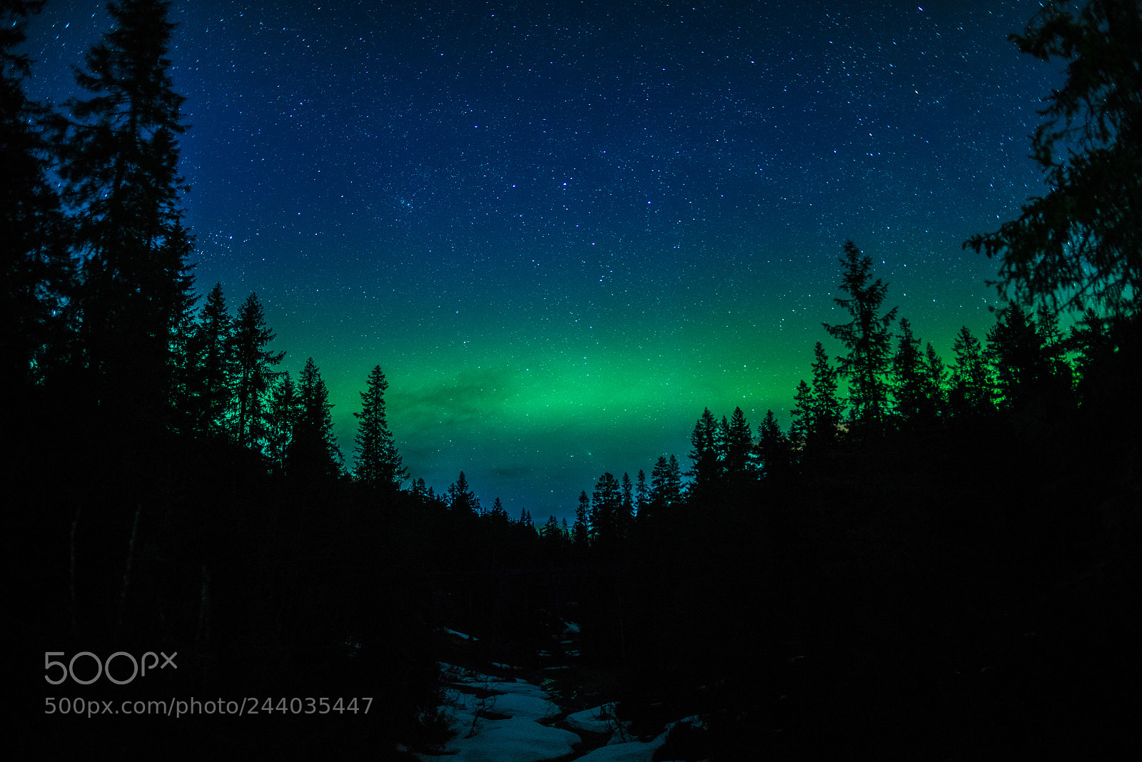 Sony a7R sample photo. Northern lights sachsen photography