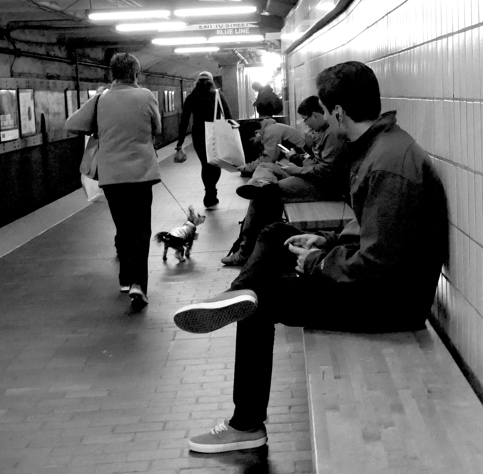 Panasonic Lumix DMC-ZS100 (Lumix DMC-TZ100) sample photo. Dog in the subway station photography