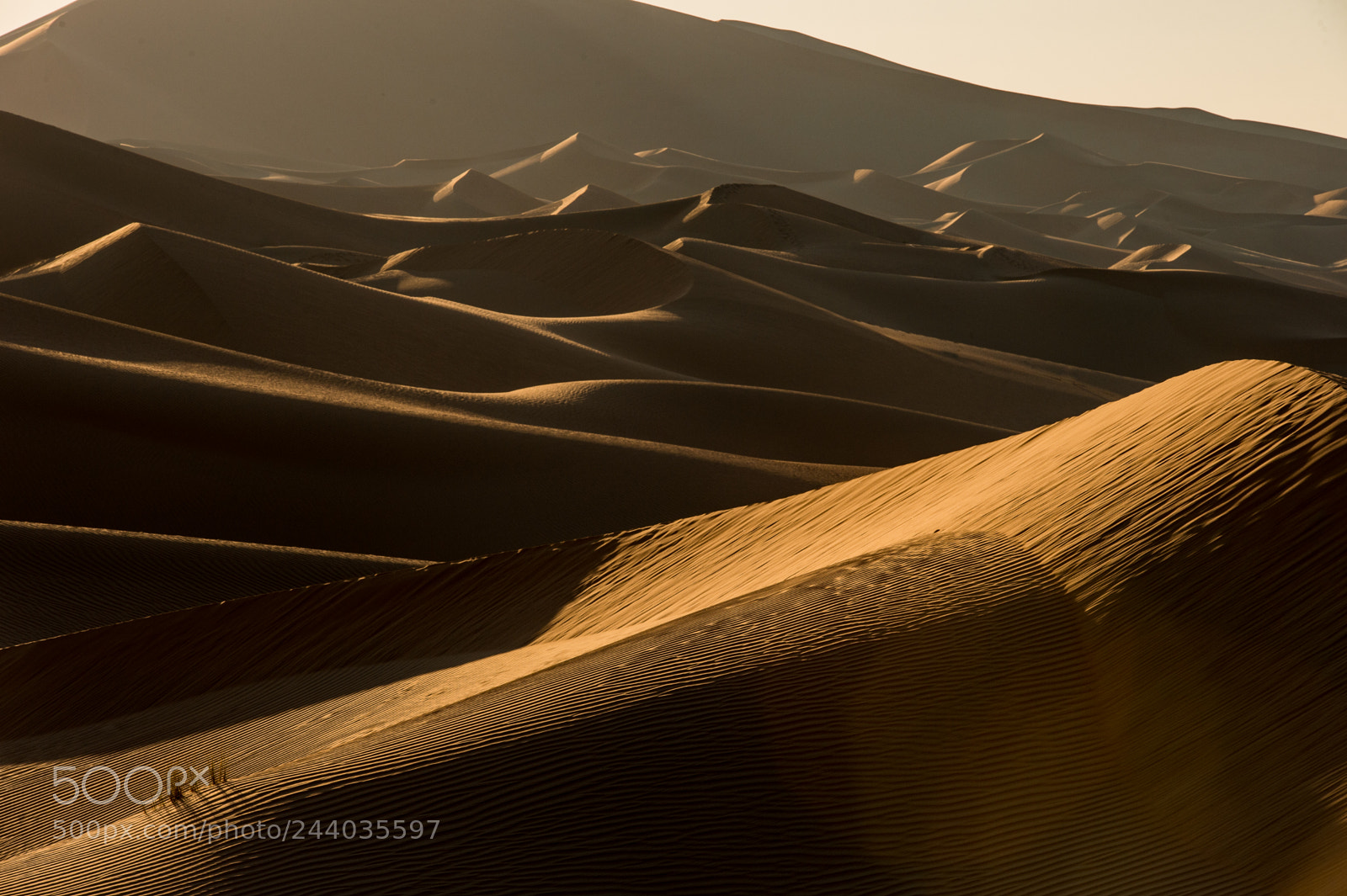 Nikon D4 sample photo. Dunes photography